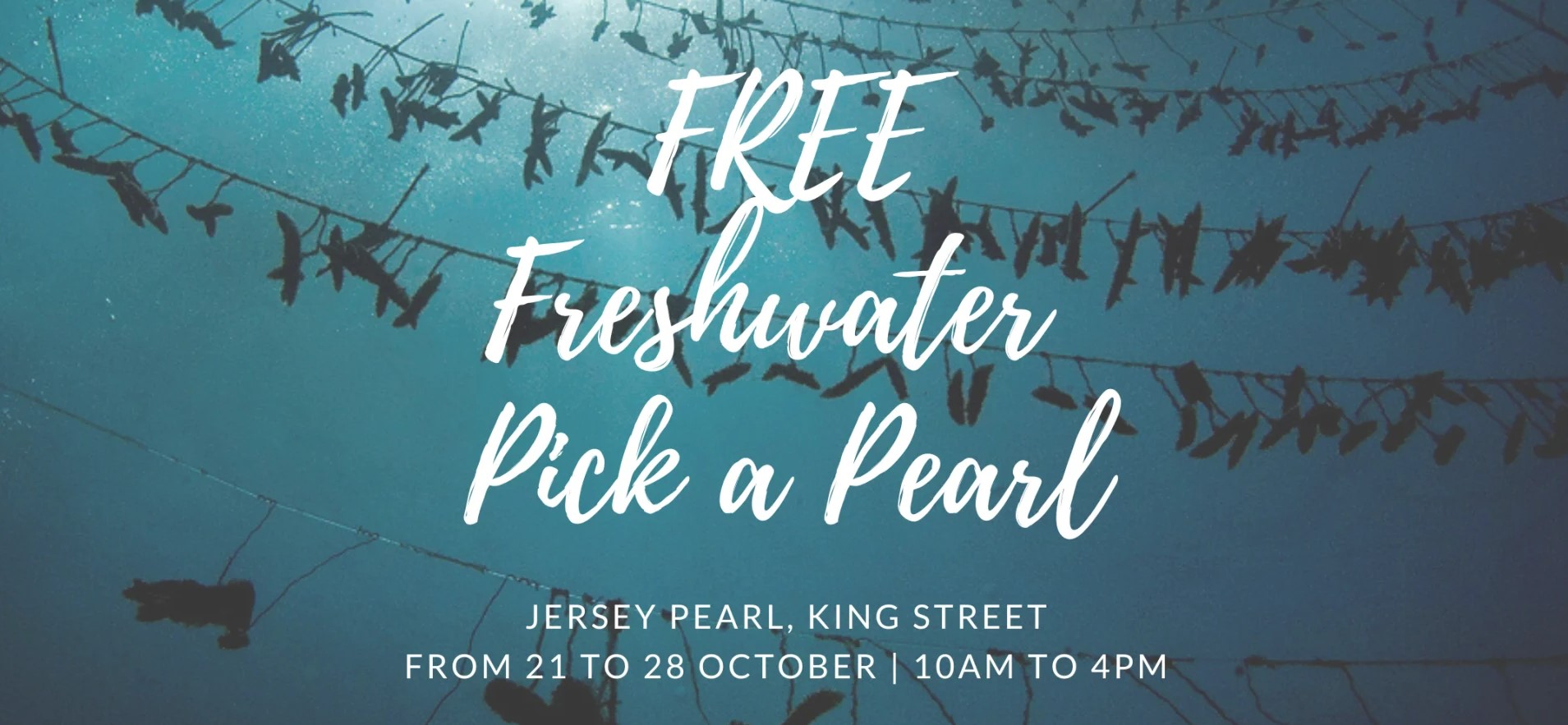 Jersey Pearl_Pick a Pearl
